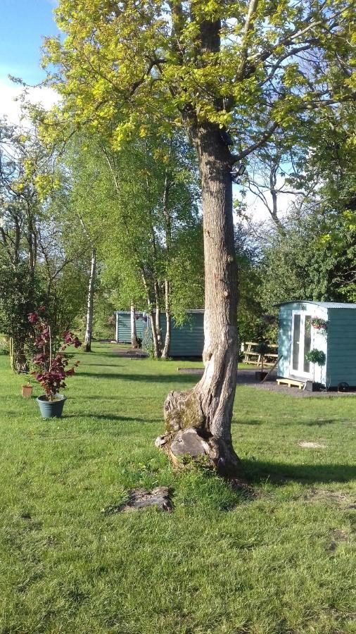 Hopgarden Glamping Luxury Shepherds Huts Wadhurst Exterior foto