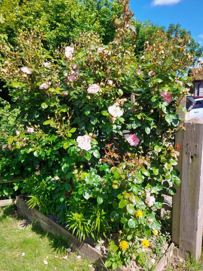 Hopgarden Glamping Luxury Shepherds Huts Wadhurst Exterior foto